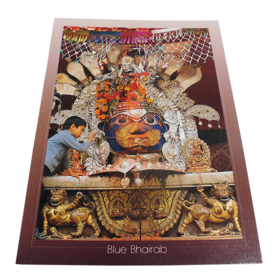 �A�W�A���G�� �@NTE-12�@�l�p�[���E�|�X�g�J�[�h(����)