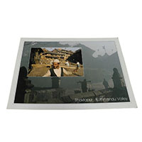 �A�W�A���G�� �@NTE-13�@�l�p�[���E�|�X�g�J�[�h(����)