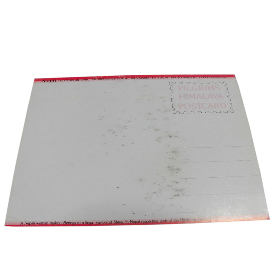 �A�W�A���G�� �@NTE-2�@�l�p�[���E�|�X�g�J�[�h(����)