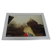 �A�W�A���G�� �@NTE-5�@�l�p�[���E�|�X�g�J�[�h(����)