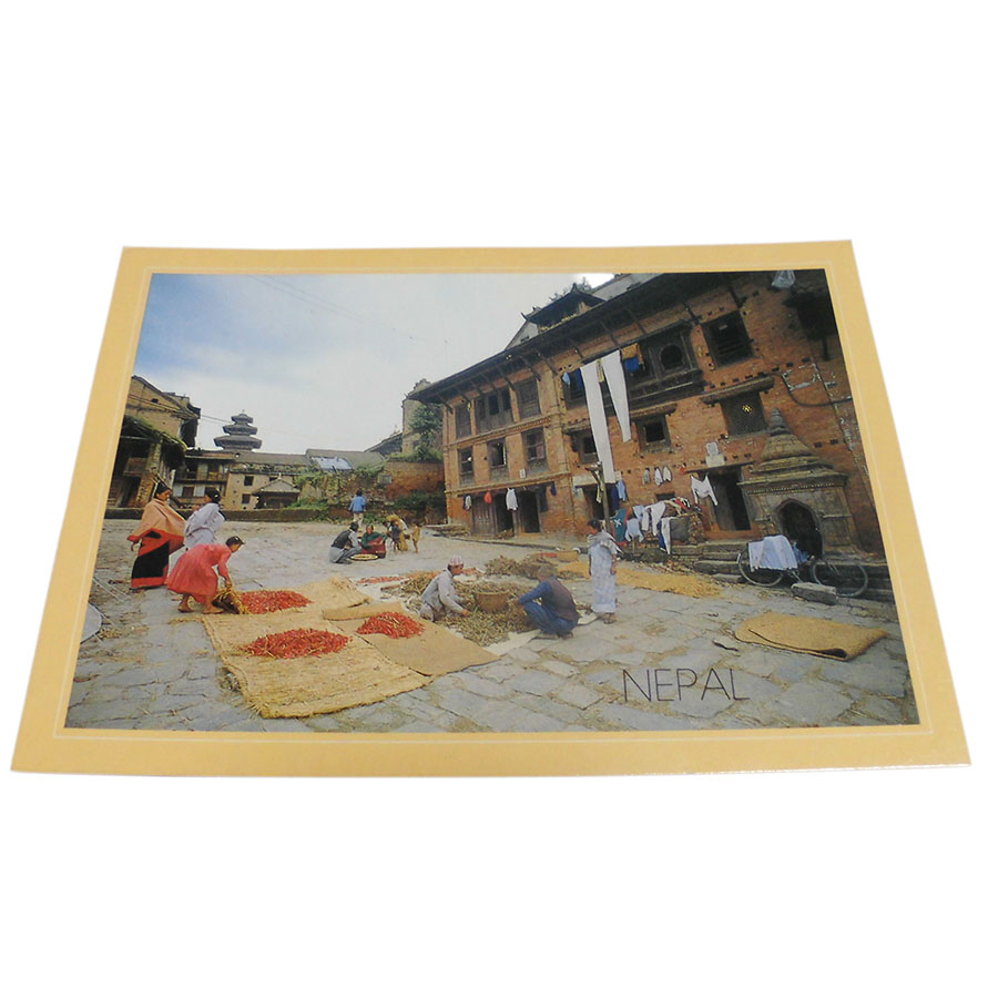 �A�W�A���G�� �@NTE-7�@�l�p�[���E�|�X�g�J�[�h(����)