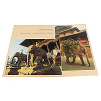 �A�W�A���G�� �@NTE-8�@�l�p�[���E�|�X�g�J�[�h(����)