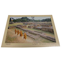 �A�W�A���G�� �@NTE-9�@�l�p�[���E�|�X�g�J�[�h(����)