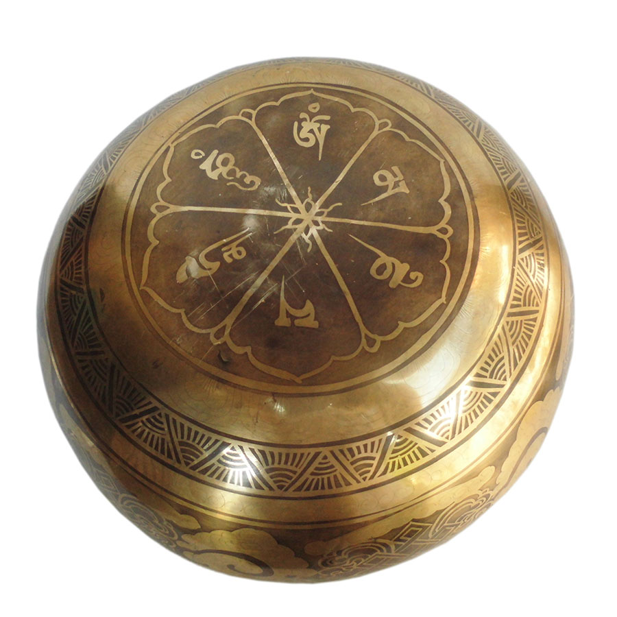 �A�W�A���G�݁@SHIN-6�@�l�p�[������ �V���M���O�{�[��