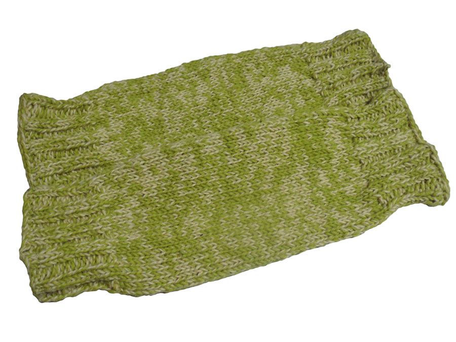 �A�W�A���G�݁@LGF-41 �l�p�[���E�E�[���E���b�O�E�H�[�}�[ ���t���[�X�t��