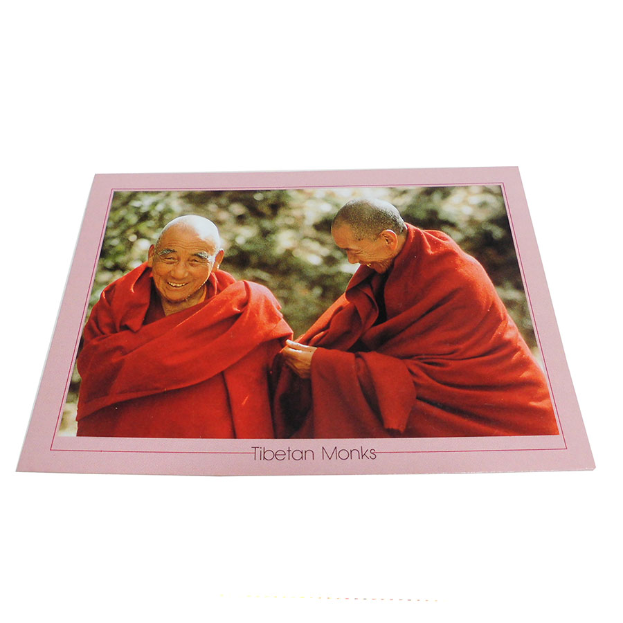 �A�W�A���G�� �@NTE-14�@�l�p�[���E�|�X�g�J�[�h(����)