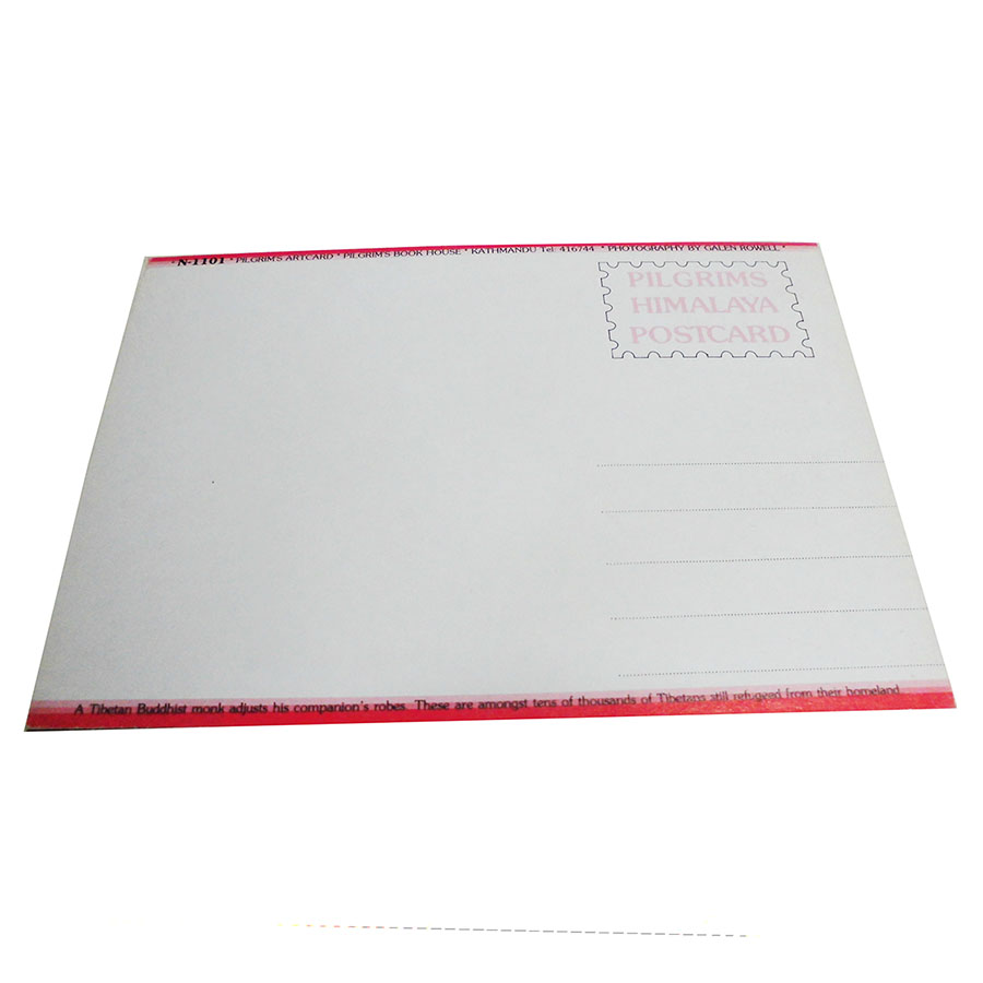 �A�W�A���G�� �@NTE-14�@�l�p�[���E�|�X�g�J�[�h(����)